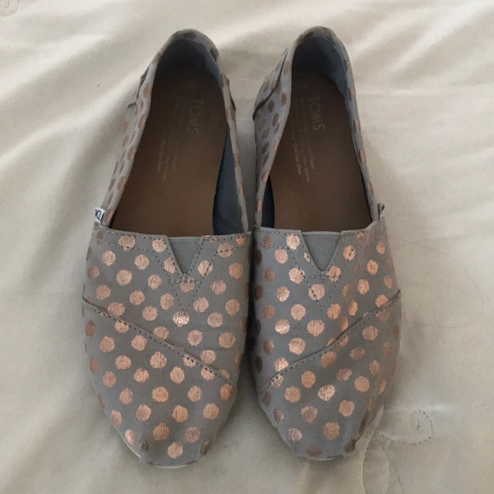 Grey Toms